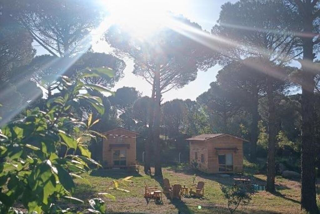 Photo of Outdoor in Bergama