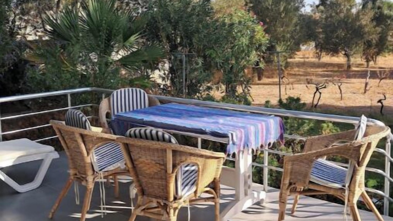Photo of Outdoor in Mithatpasa