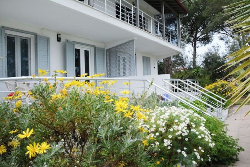 Photo of Outdoor in Mithatpasa