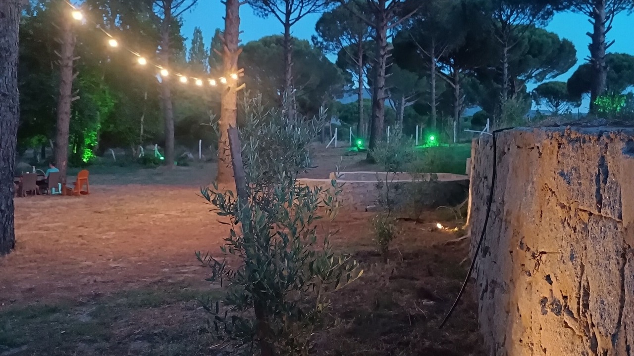 Photo of Outdoor in Bergama