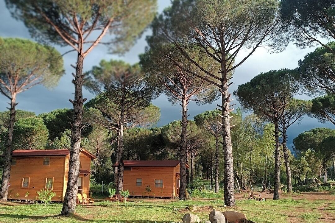 Photo of Outdoor in Bergama