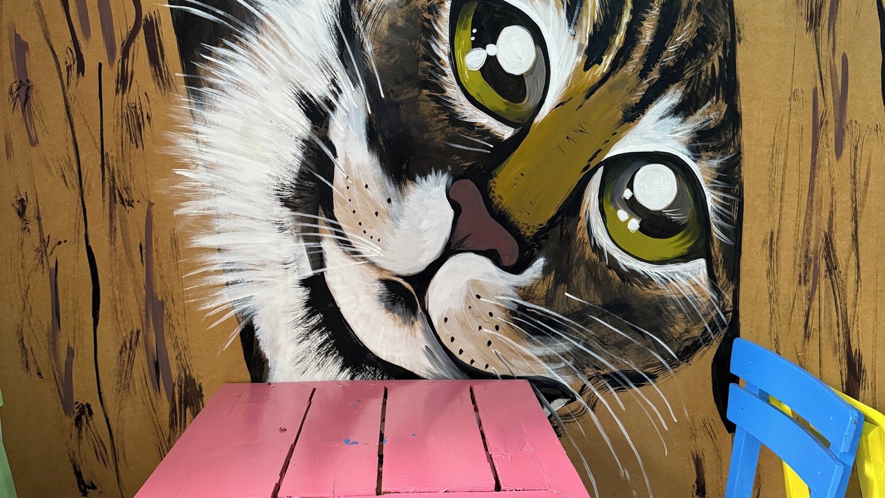 Photo of Outdoor in Ayvalik City Center