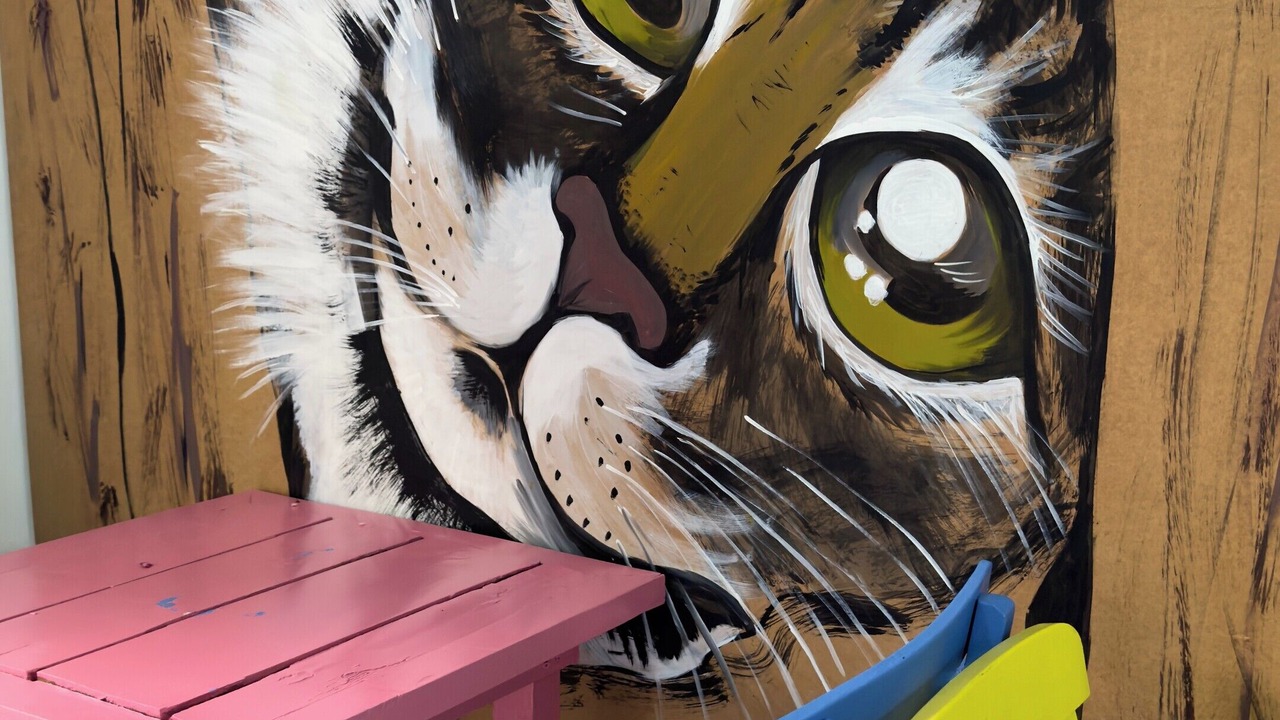 Photo of Outdoor in Ayvalik City Center