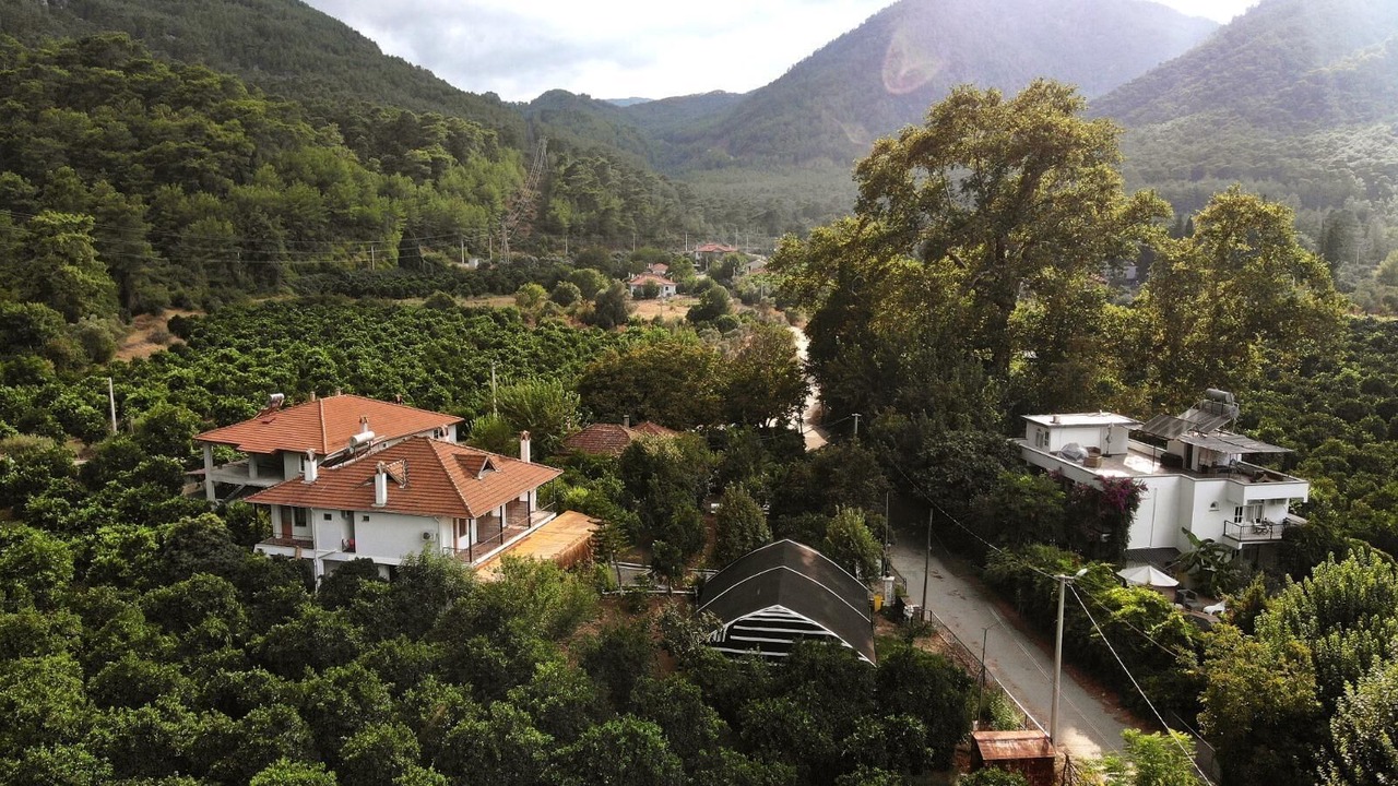 Photo of Outdoor in Koycegiz