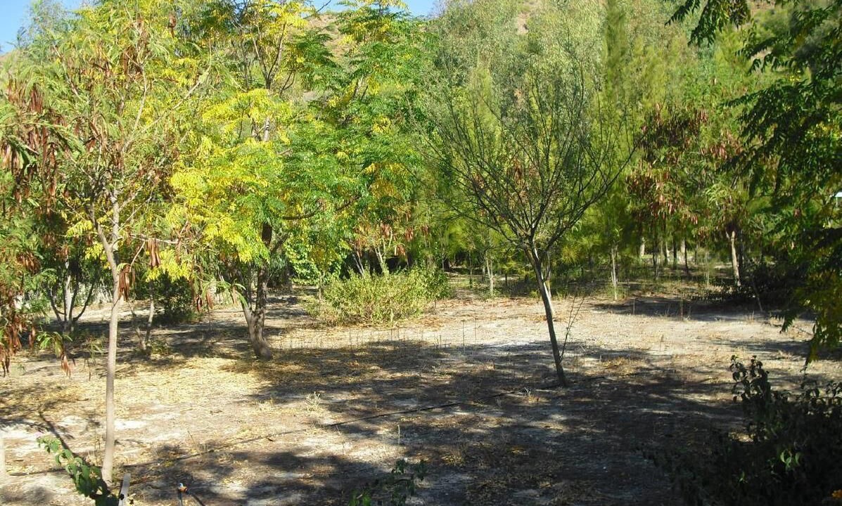 Photo of Outdoor in Dalaman
