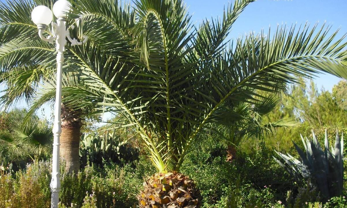 Photo of Outdoor in Dalaman