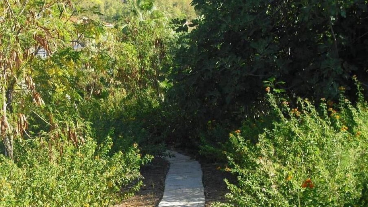 Photo of Outdoor in Dalaman