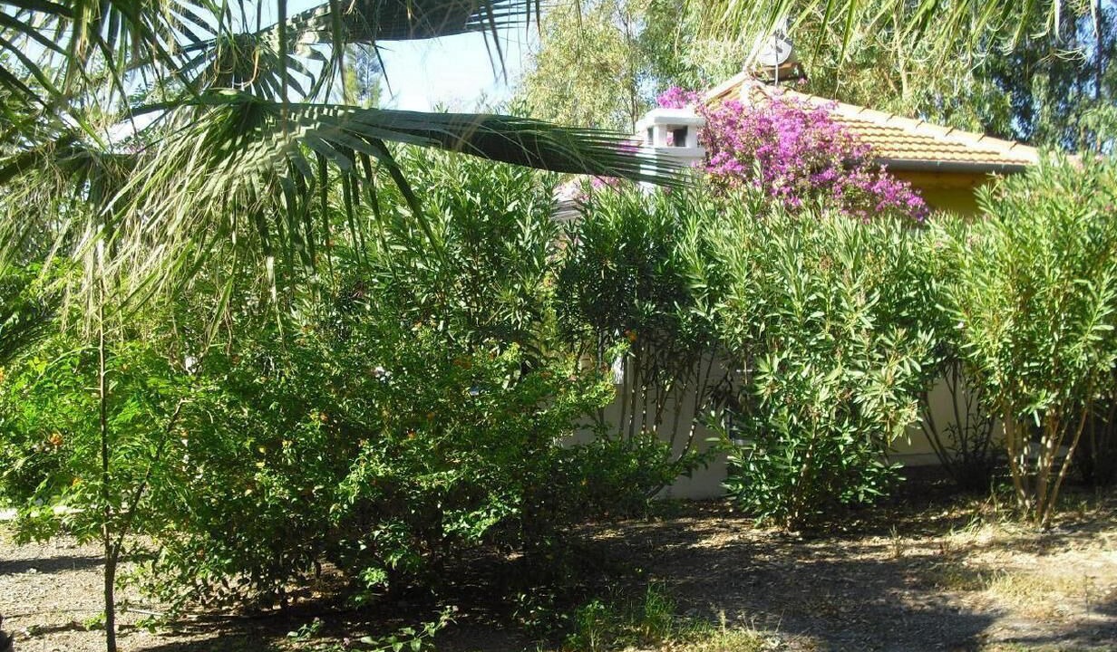Photo of Outdoor in Dalaman