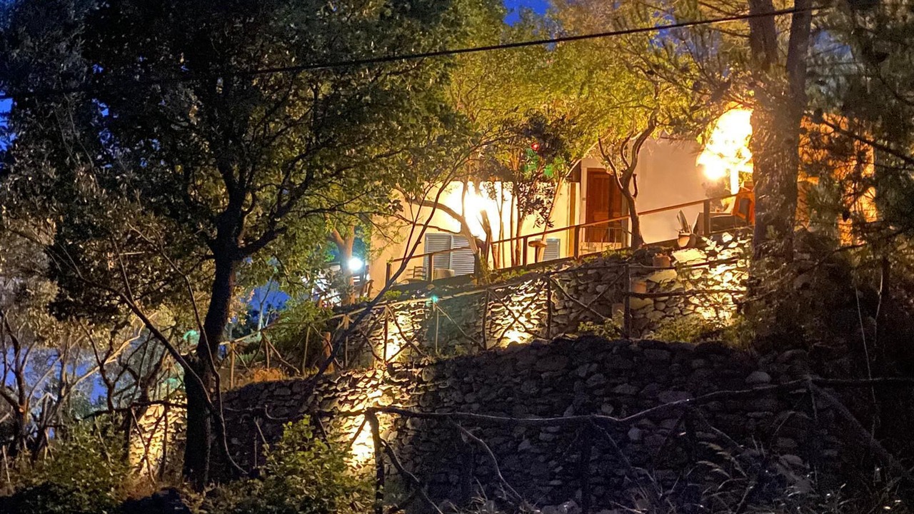 Photo of Outdoor in Zeytinli