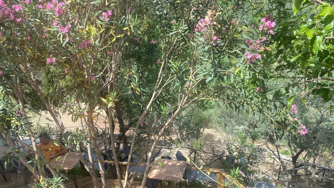 Photo of Outdoor in Zeytinli