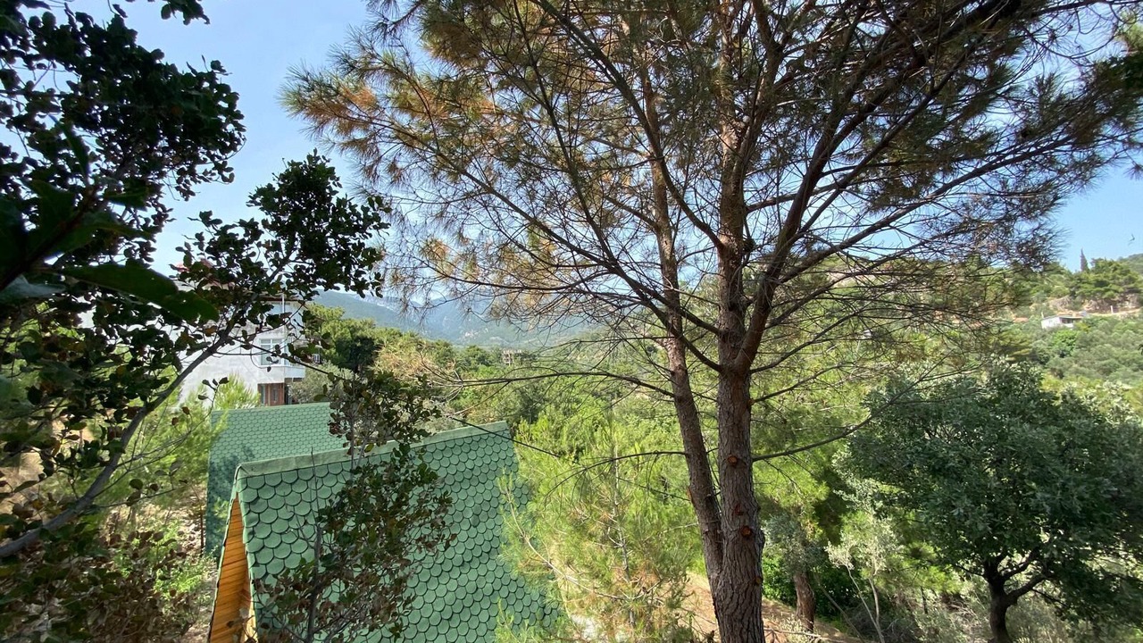 Photo of Bedroom in Zeytinli