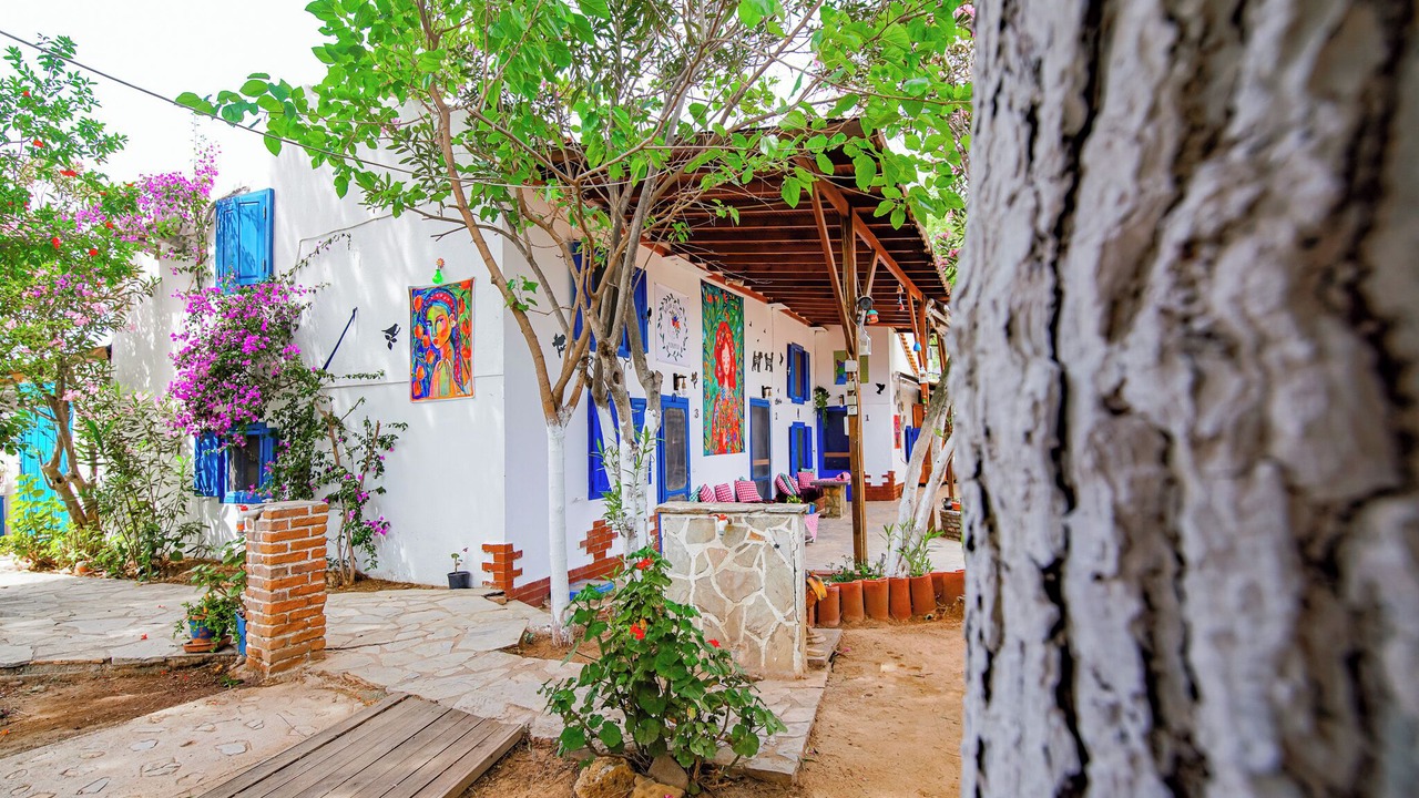 Photo of Outdoor in Bozcaada