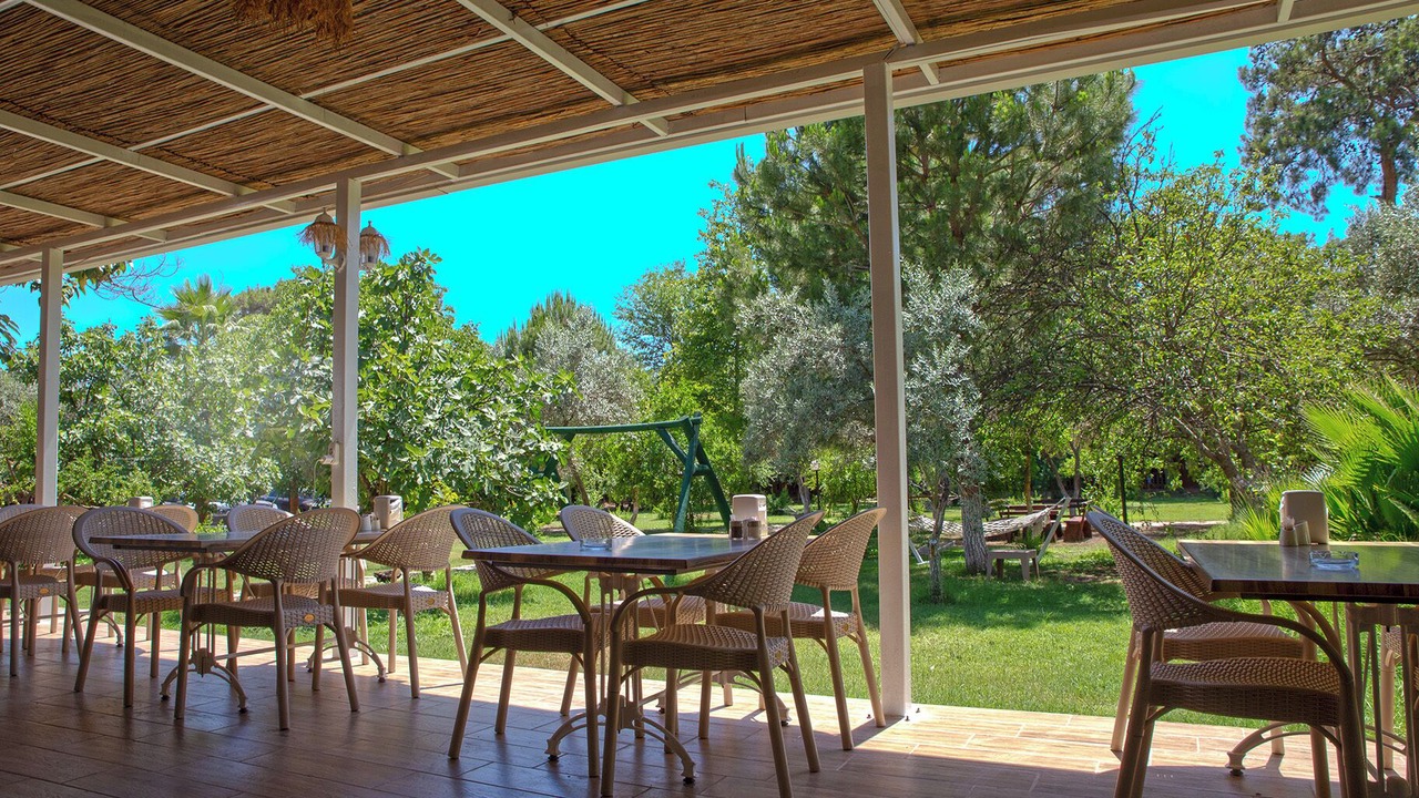 Photo of Others in Olympos