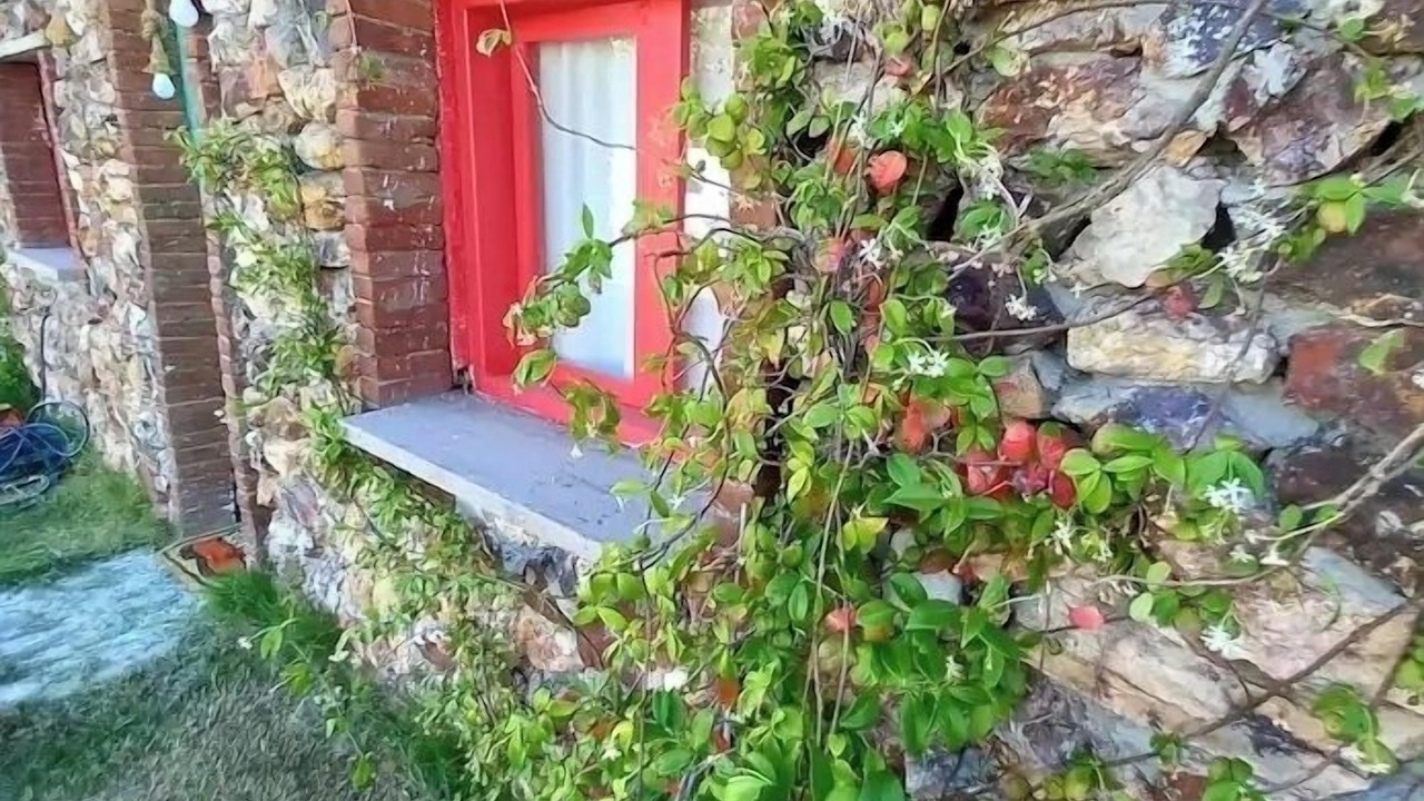 Photo of Outdoor in Ayvalik