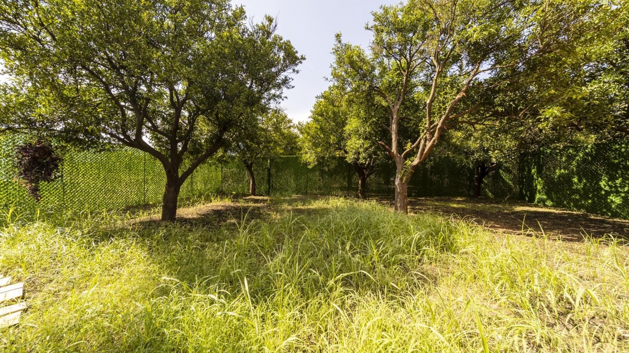 Photo of Outdoor in Konyaalti