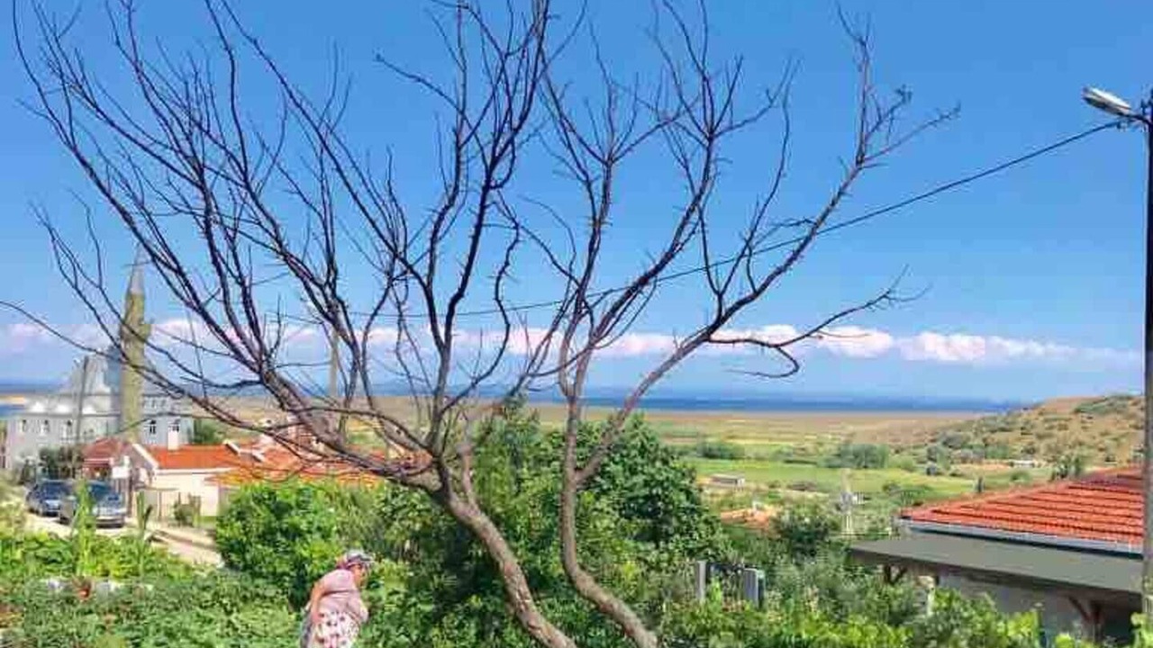 Photo of Others in Gokceada