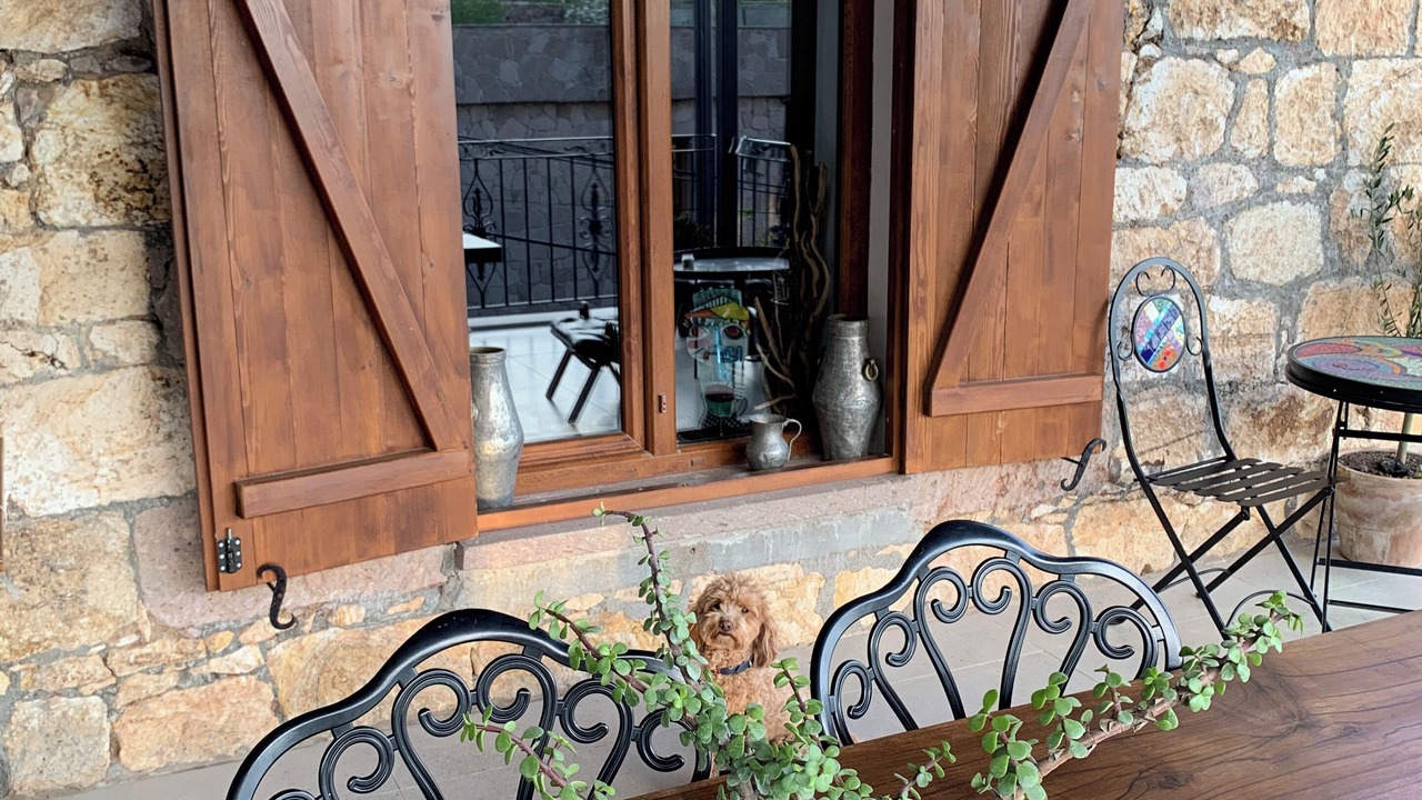 Photo of Outdoor in Ayvacik