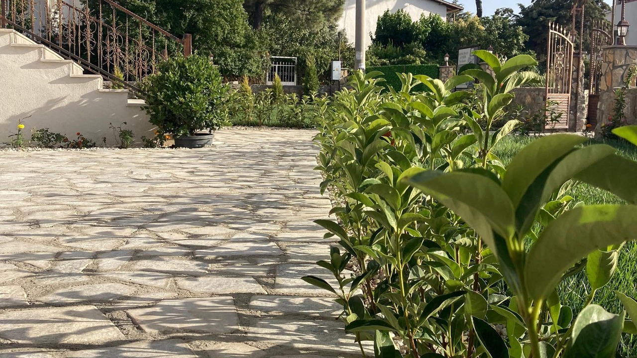 Photo of Outdoor in Ezine