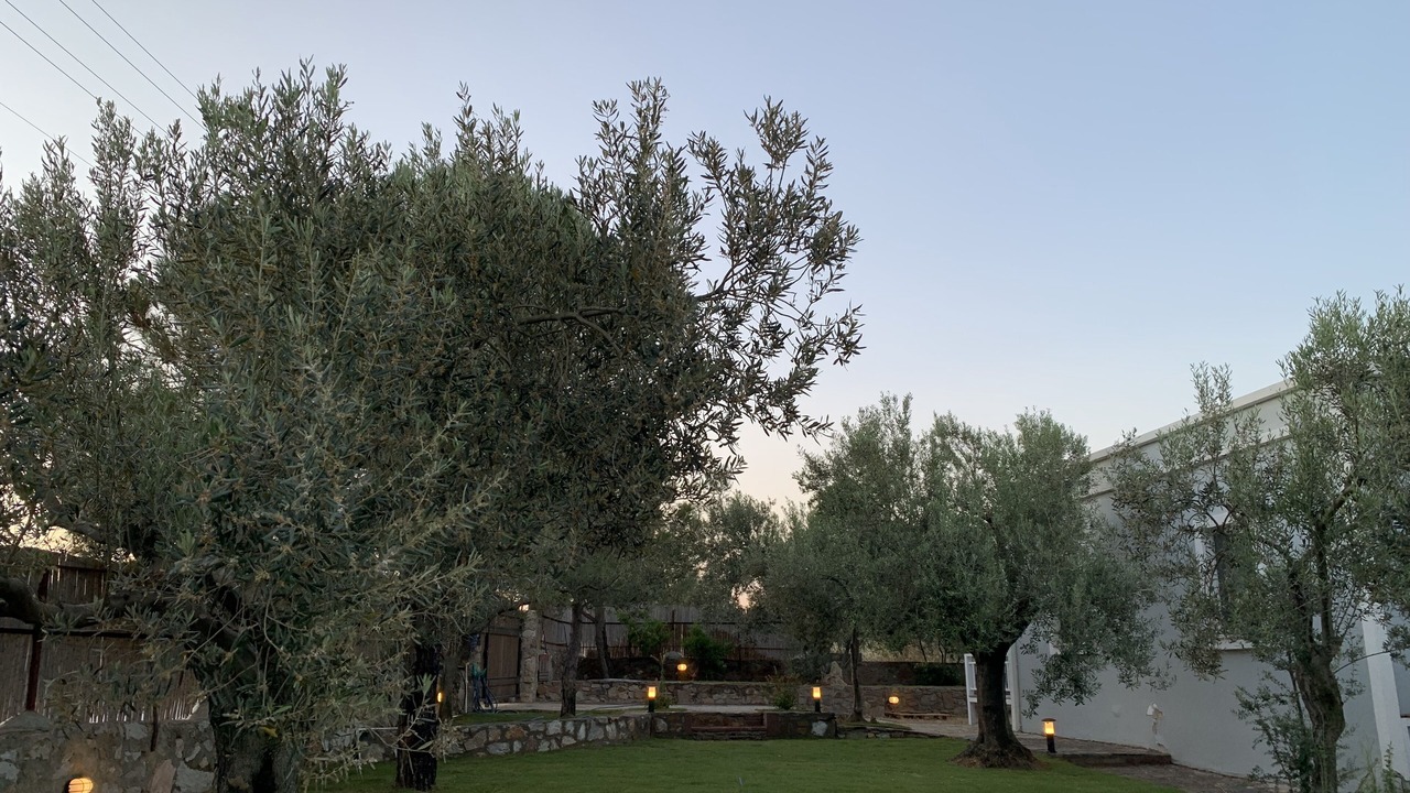 Photo of Outdoor in Bozcaada