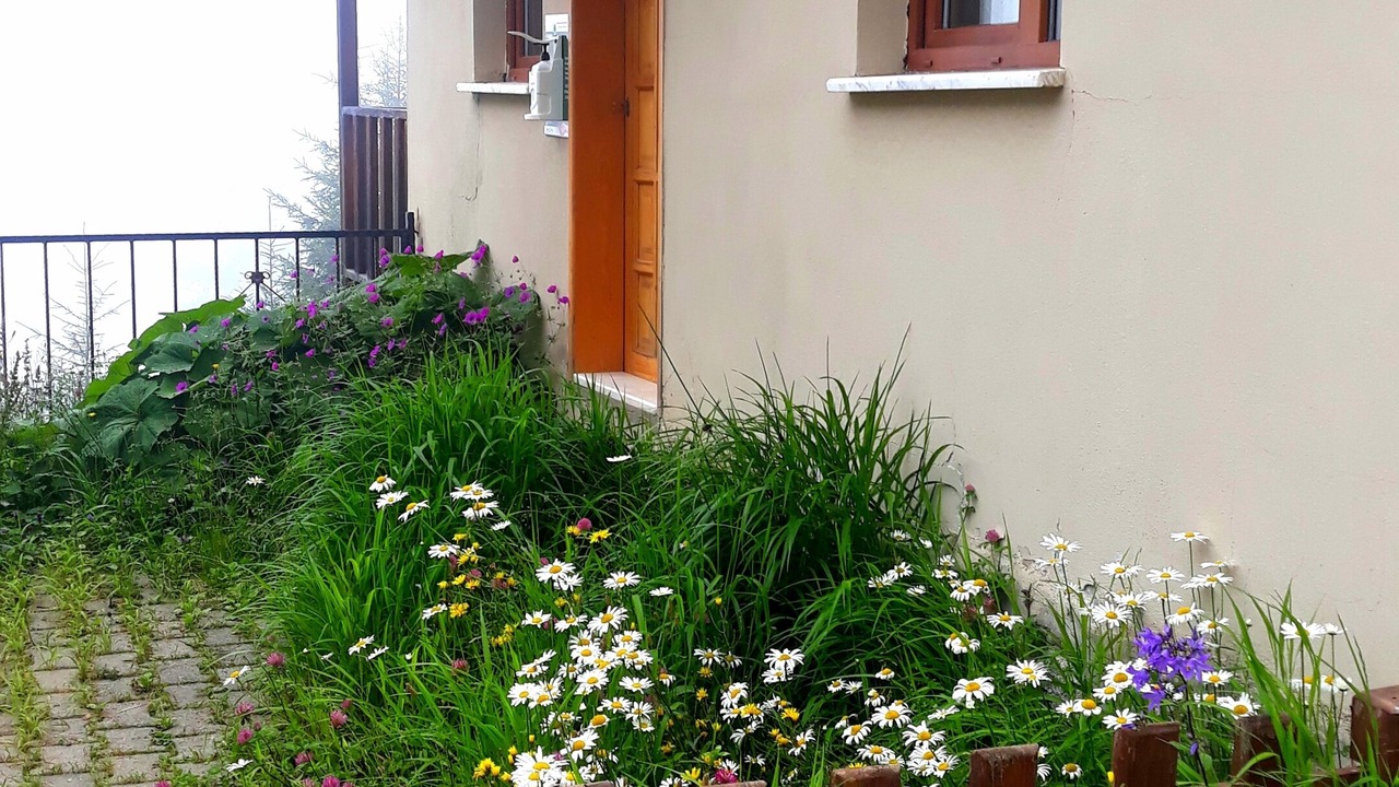 Photo of Outdoor in Ayder
