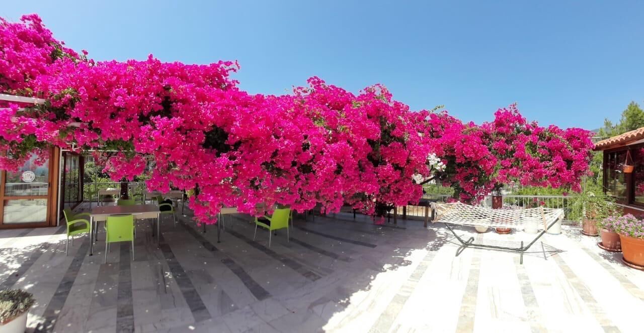 Photo of Outdoor in Ekincik