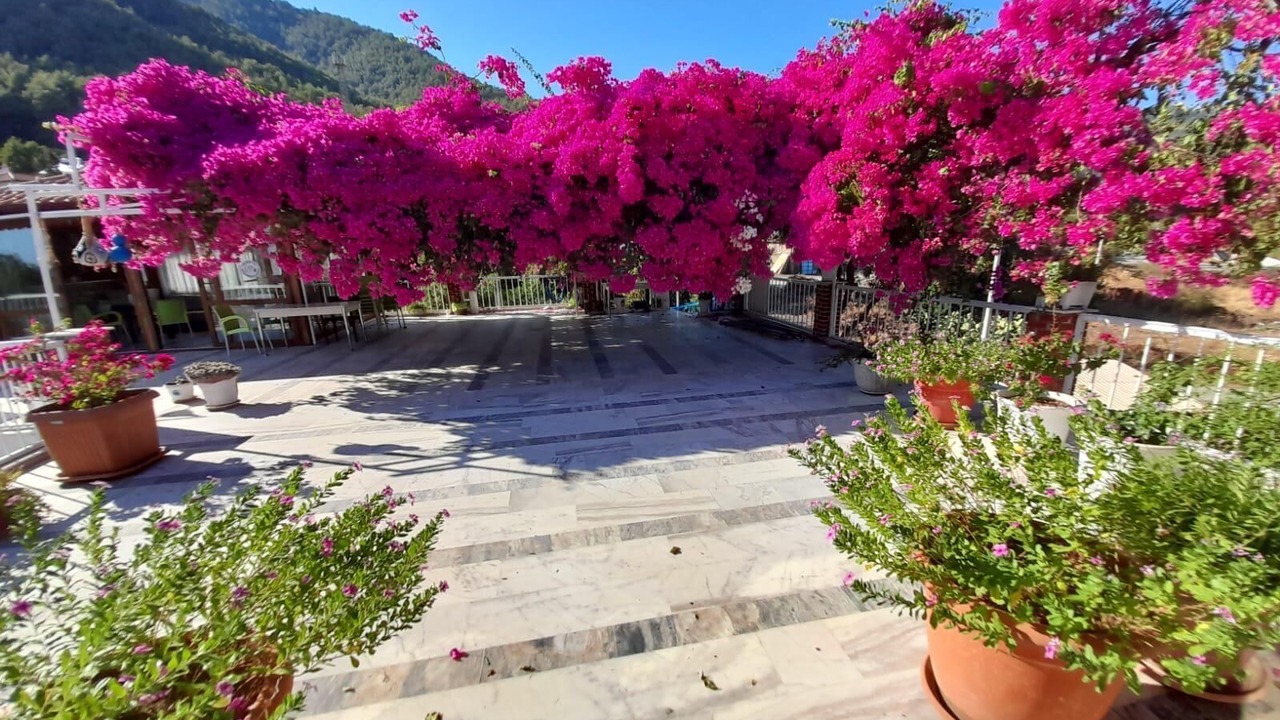 Photo of Outdoor in Ekincik