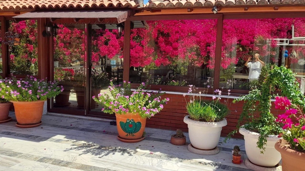 Photo of Outdoor in Ekincik