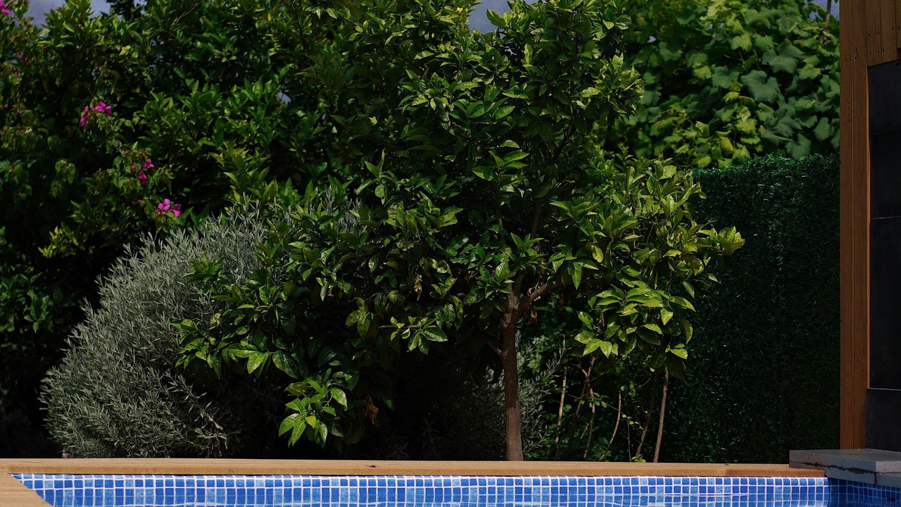 Photo of Outdoor in Kemer Mahallesi