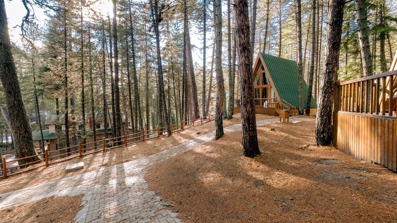 Photo of Outdoor in Tosya