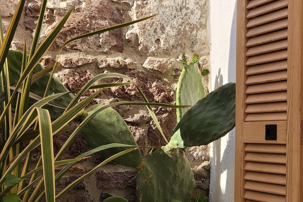 Photo of Outdoor in Ayvalik City Center