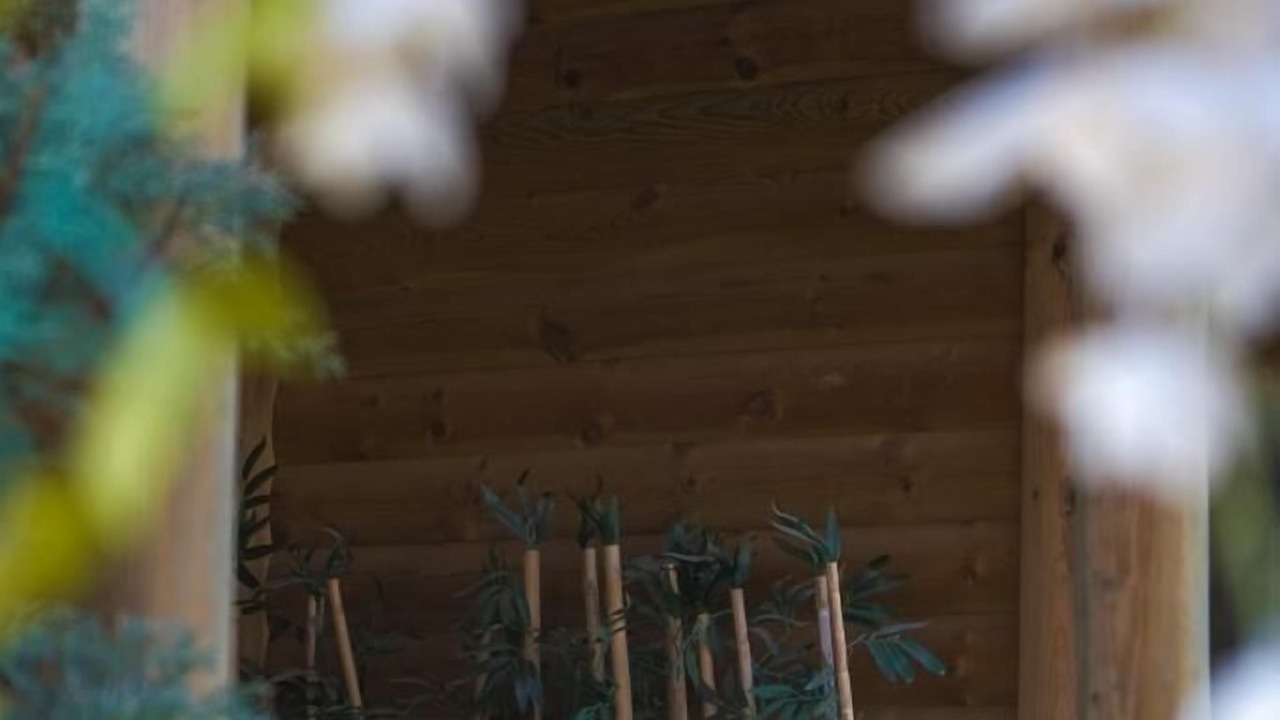 Photo of Bedroom in Bolu