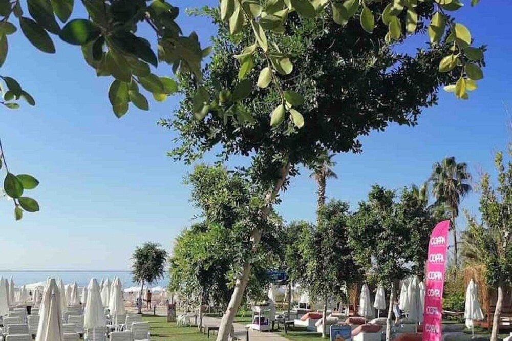 Photo of Outdoor in Side