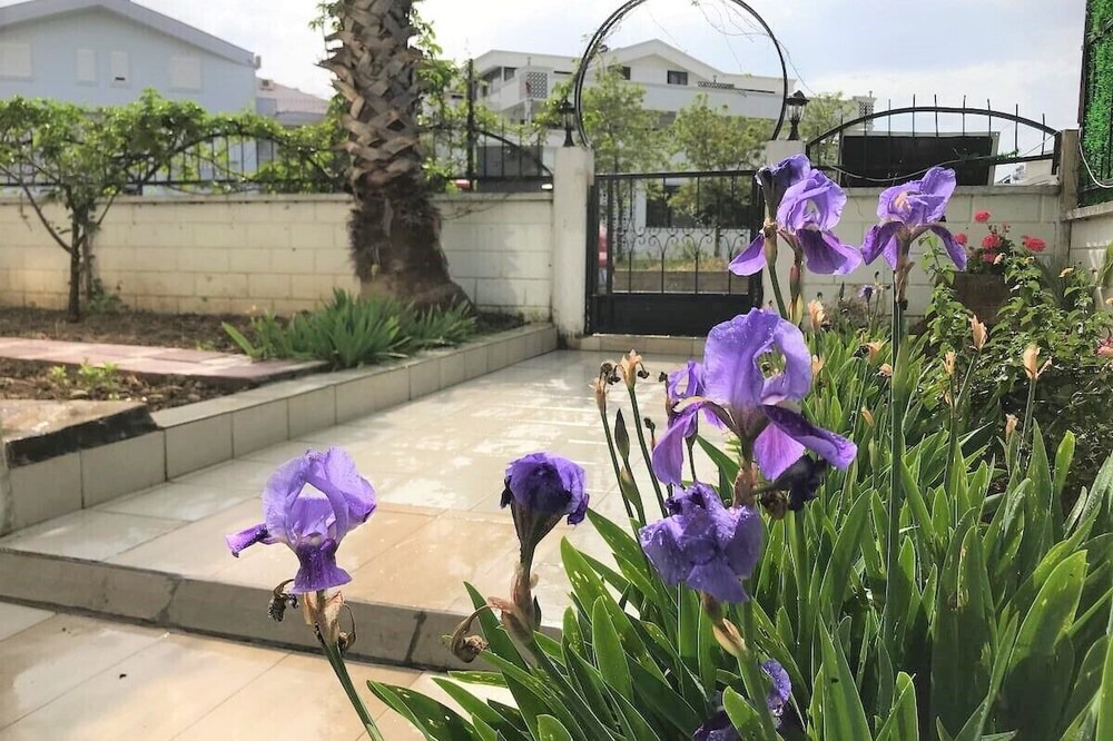 Photo of Outdoor in Side