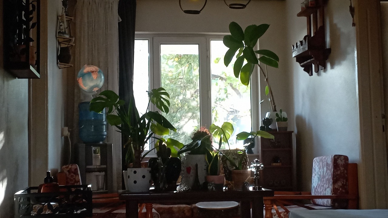 Photo of Others in Ayvalik