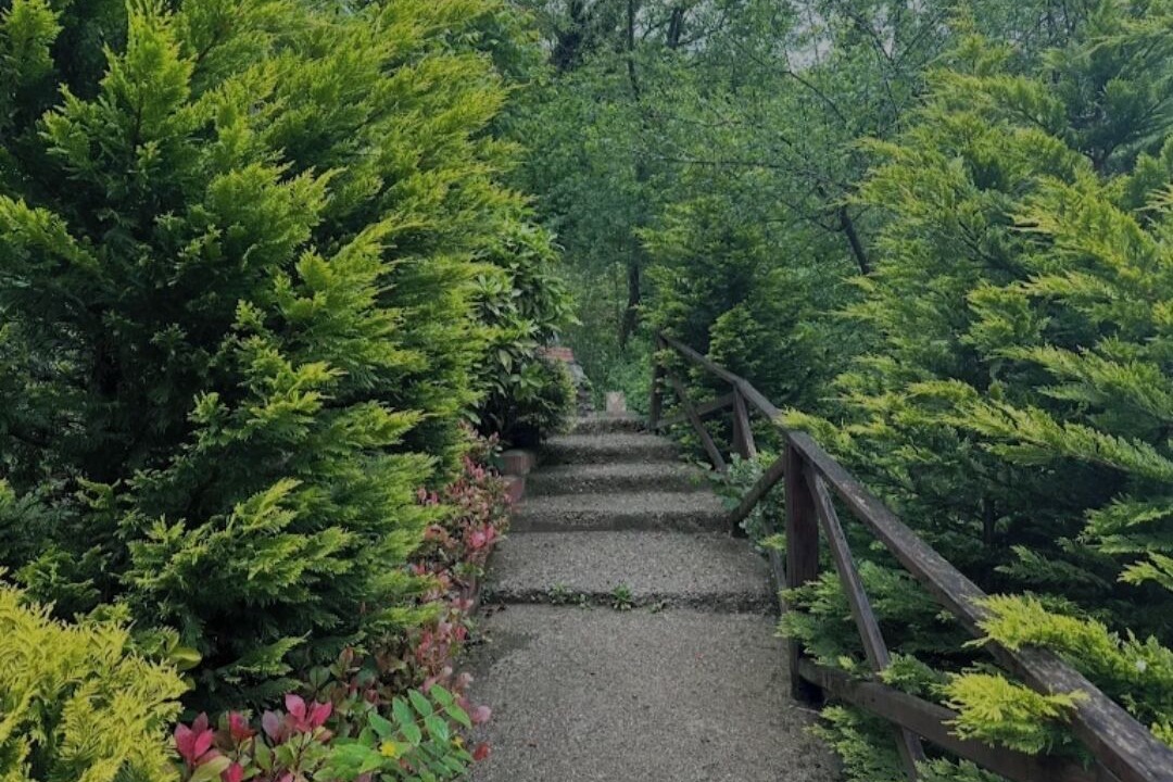 Photo of Outdoor in Sapanca