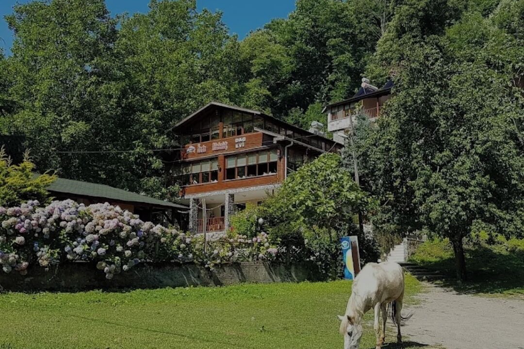 Photo of Outdoor in Sapanca