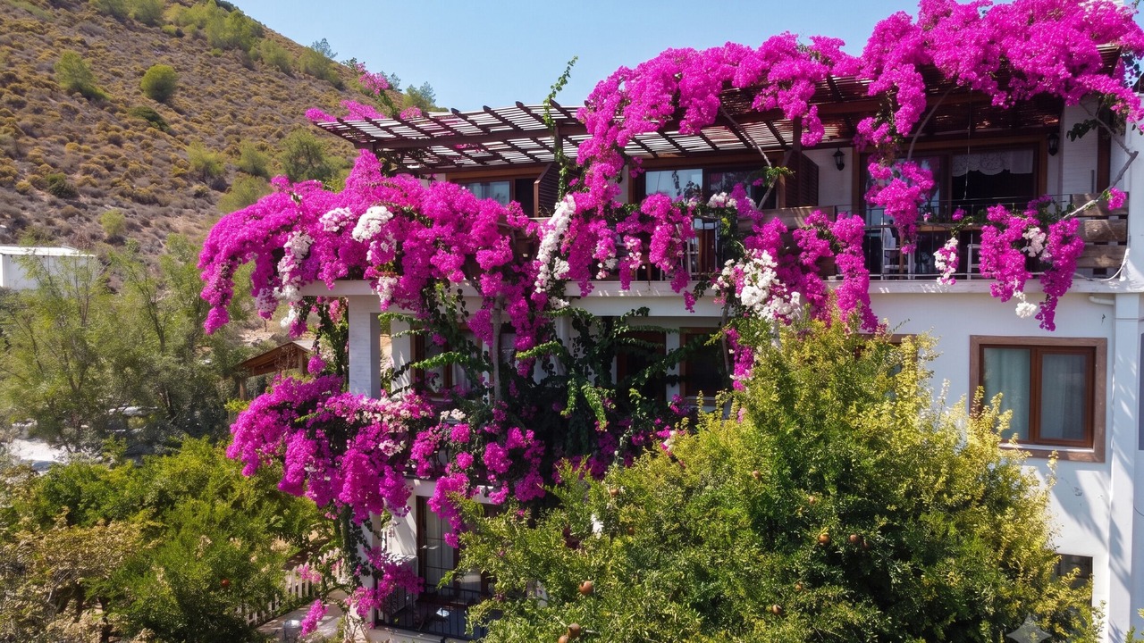Photo of Outdoor in Datca