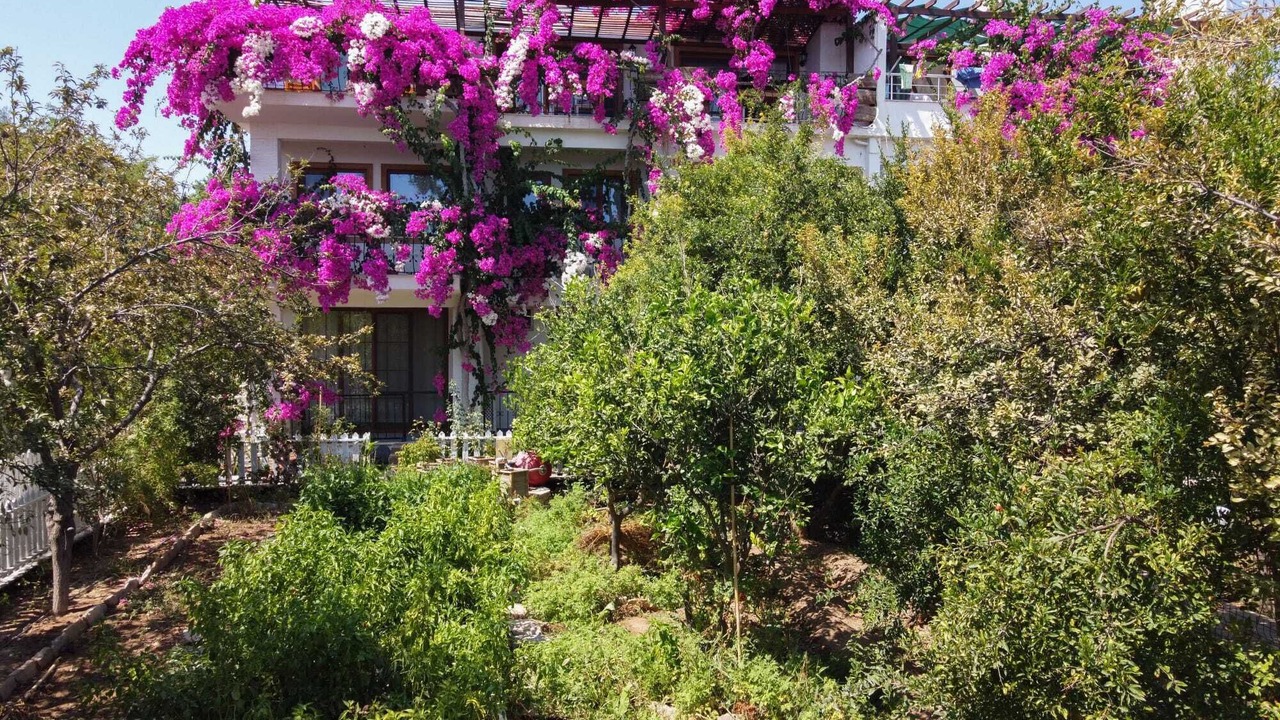 Photo of Outdoor in Datca