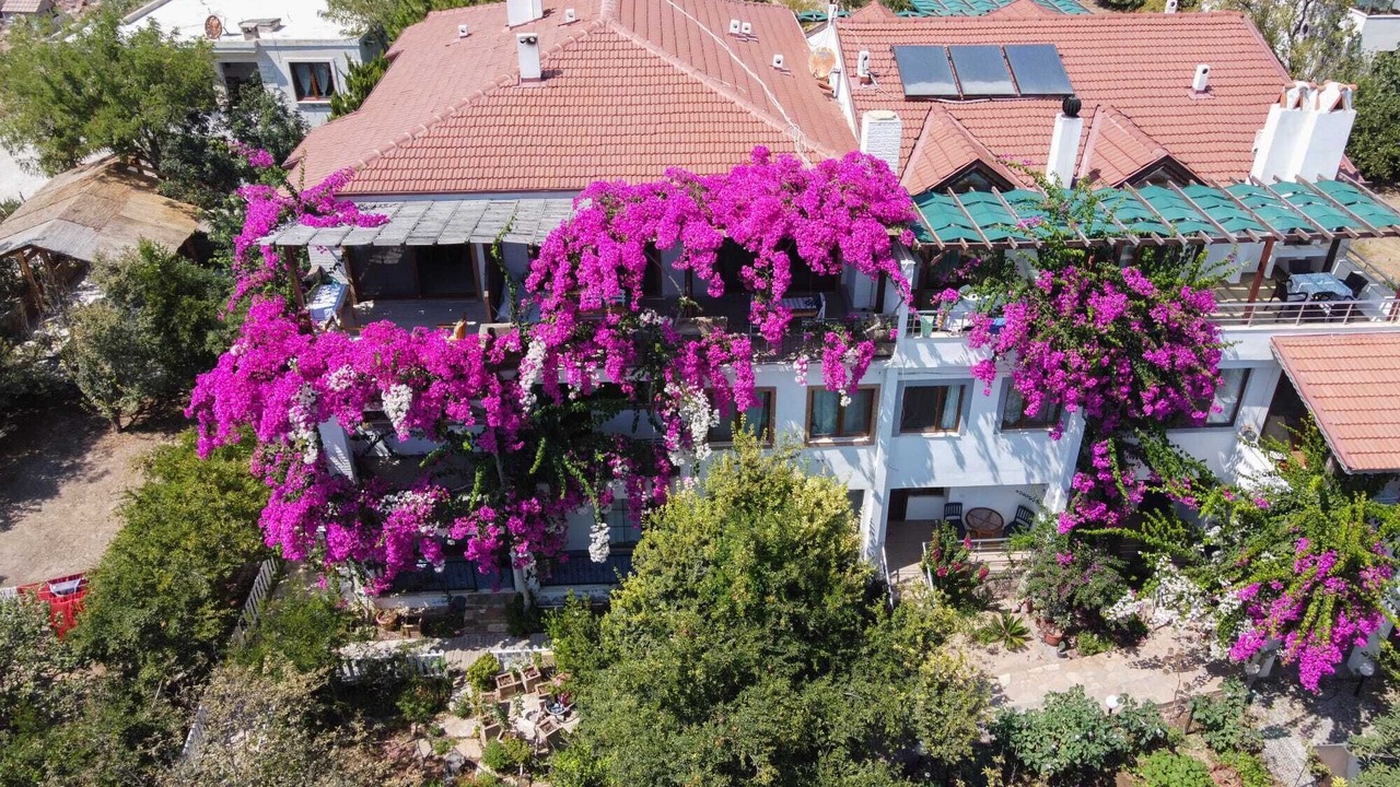 Photo of Outdoor in Datca