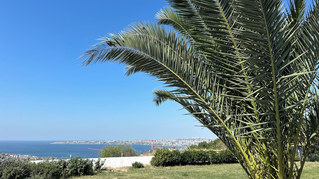 Photo of Outdoor in Buyukcekmece
