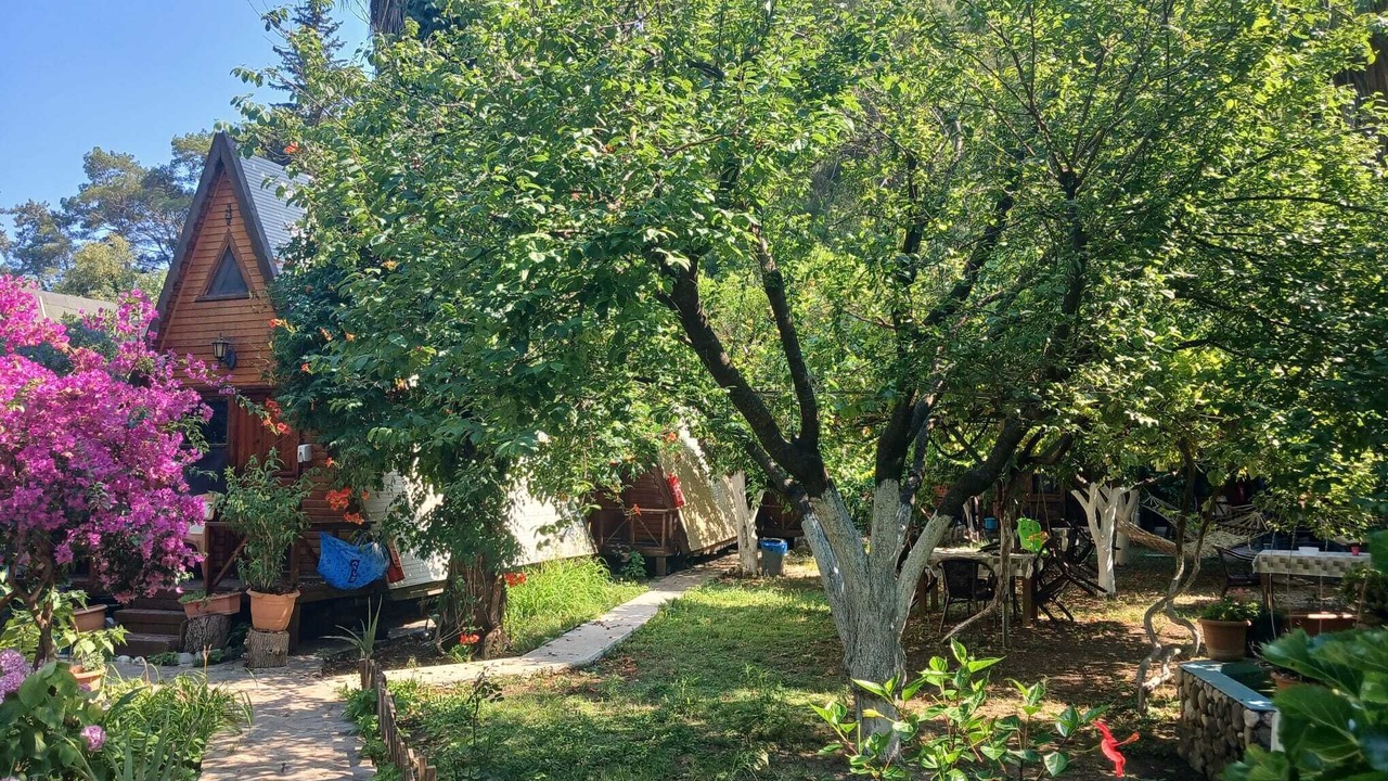 Photo of Outdoor in Cirali