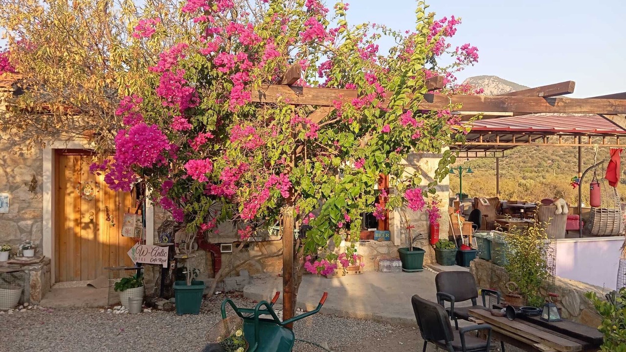 Photo of Outdoor in Datca