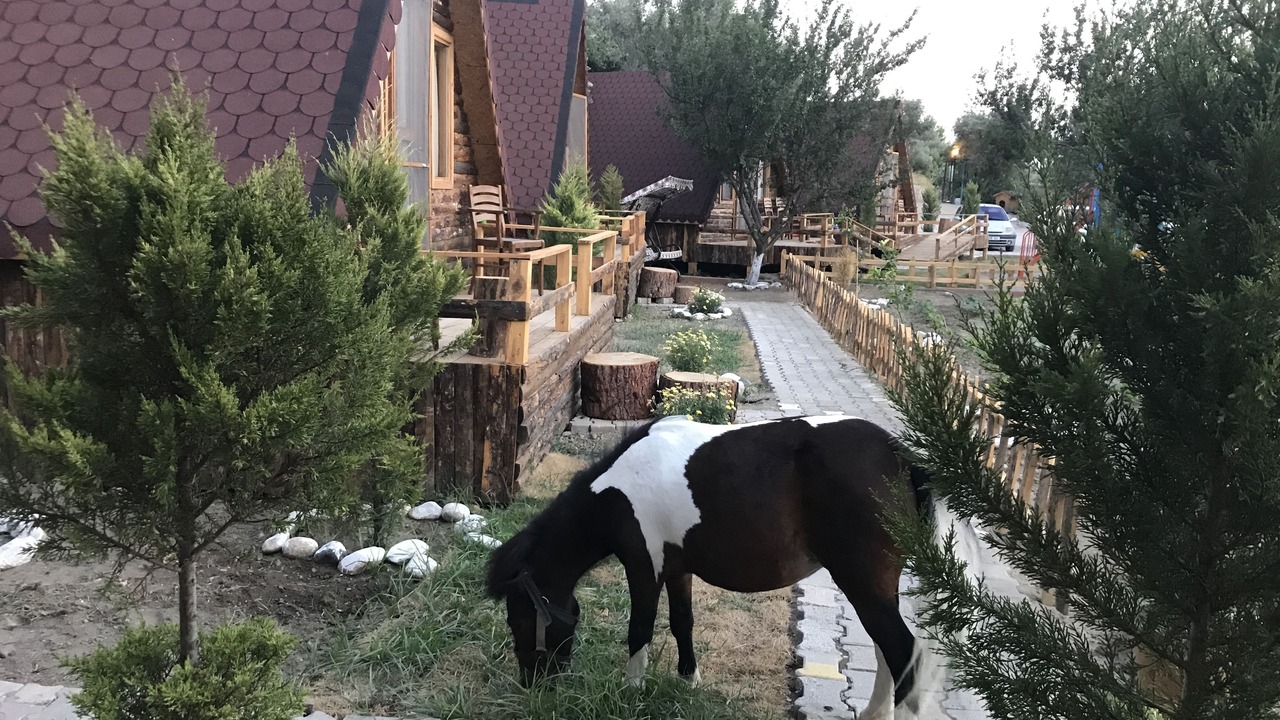 Photo of Outdoor in Zeytinli
