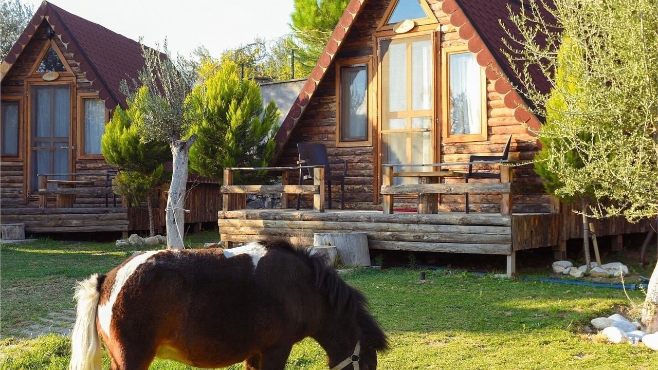 Photo of Outdoor in Zeytinli
