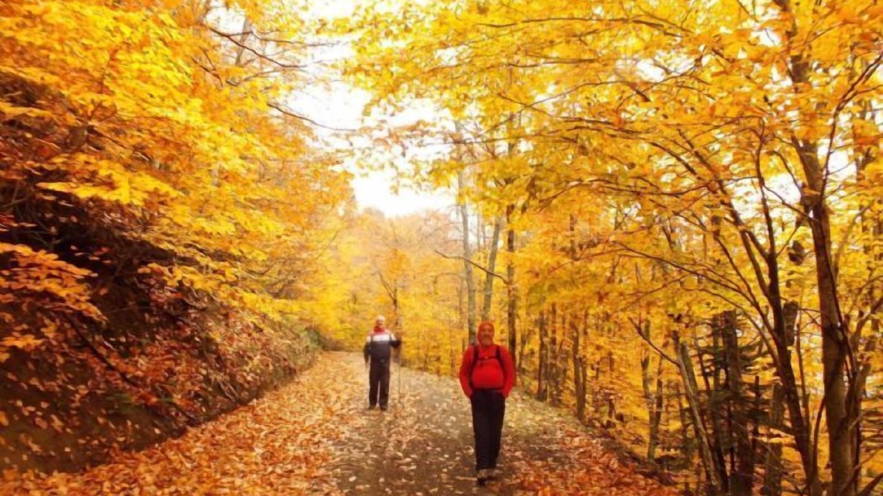 Photo of Outdoor in Zeytinli