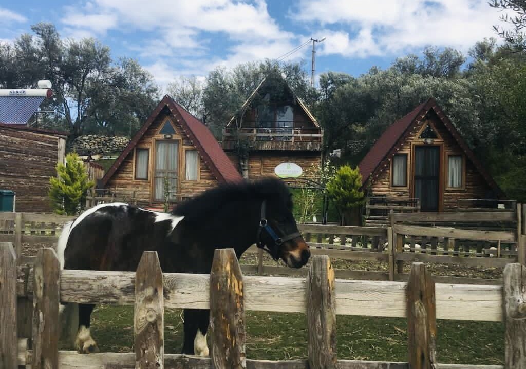 Photo of Outdoor in Zeytinli
