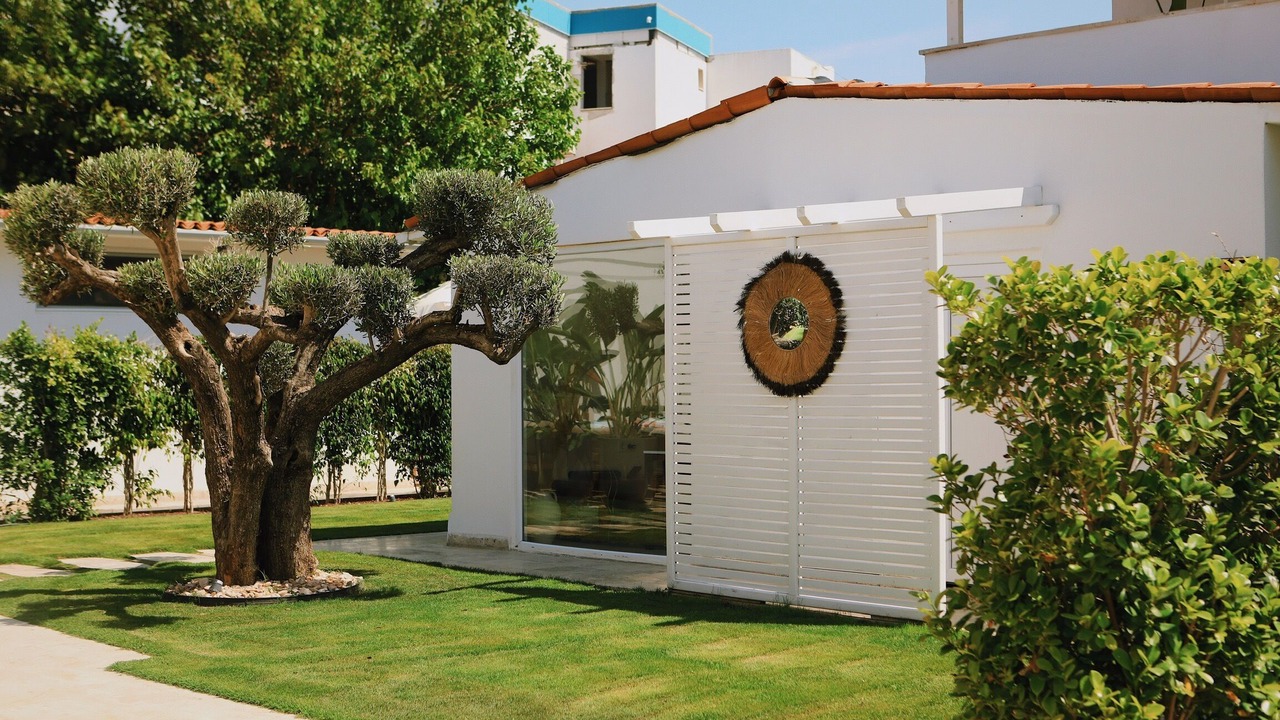 Photo of Outdoor in Golturkbuku