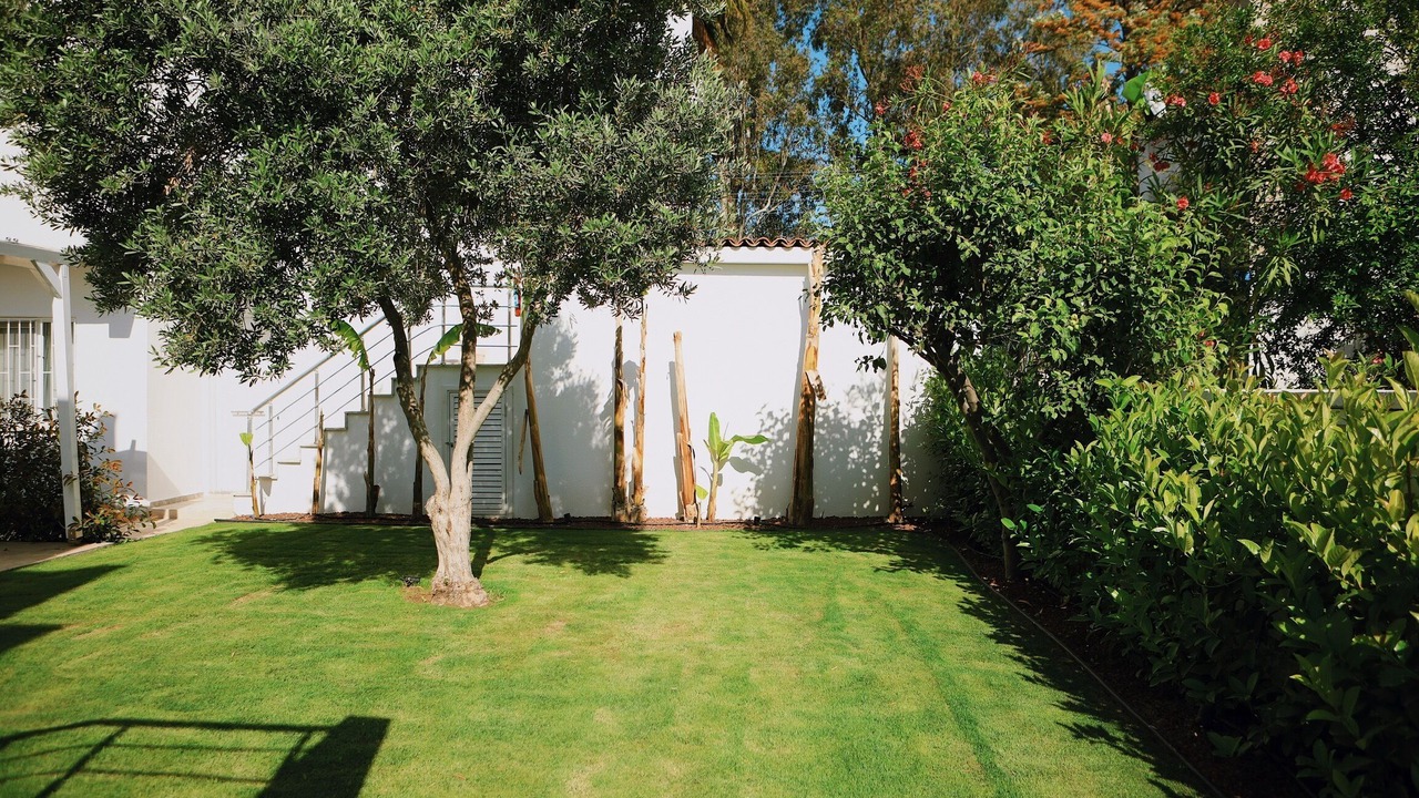 Photo of Outdoor in Golturkbuku