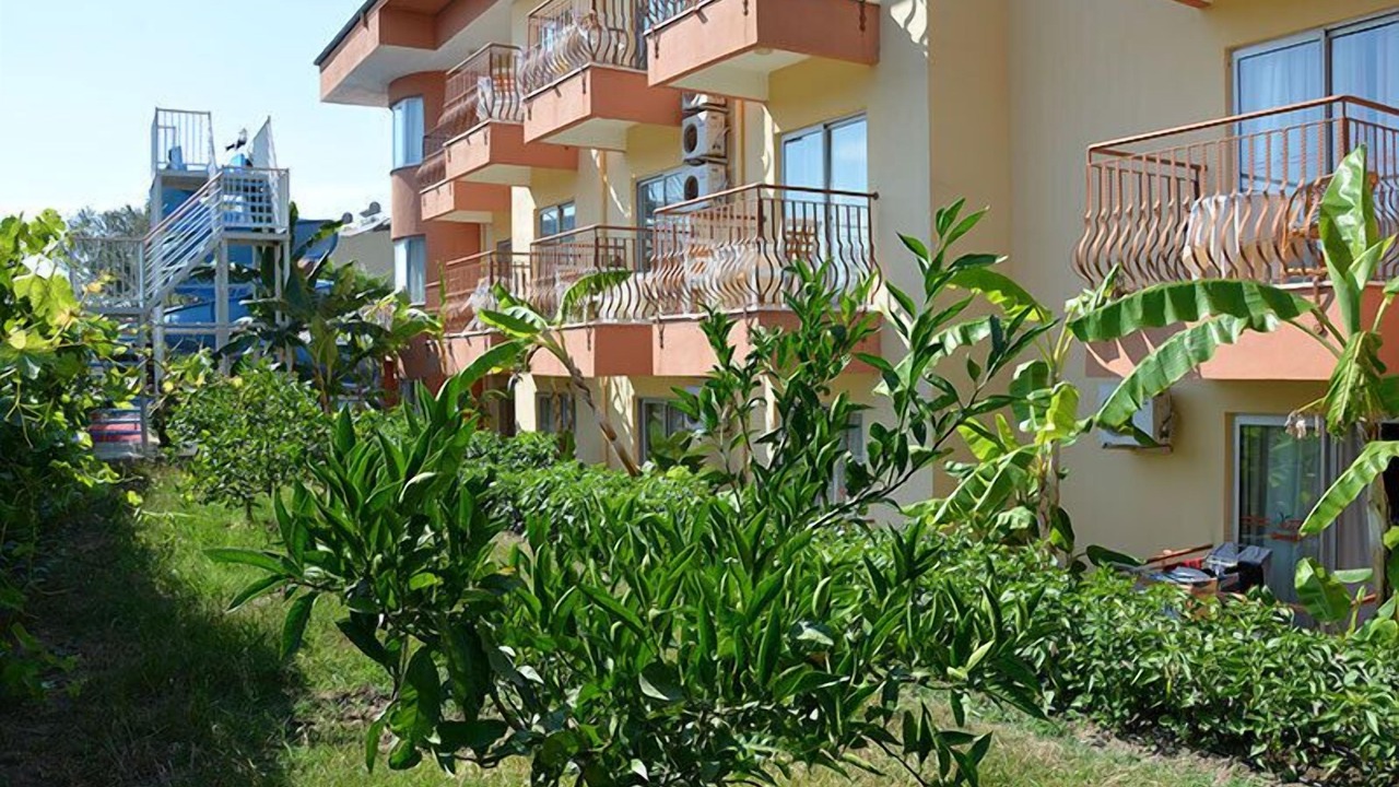 Photo of Outdoor in Side