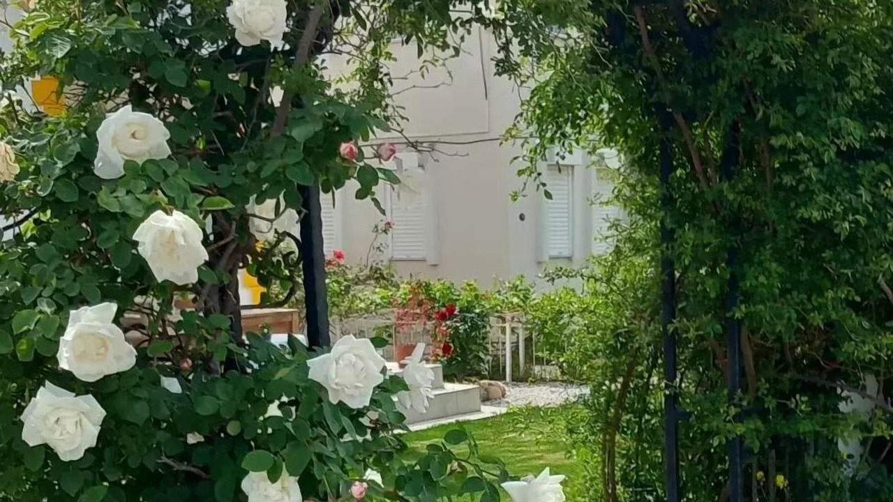 Photo of Outdoor in Foca
